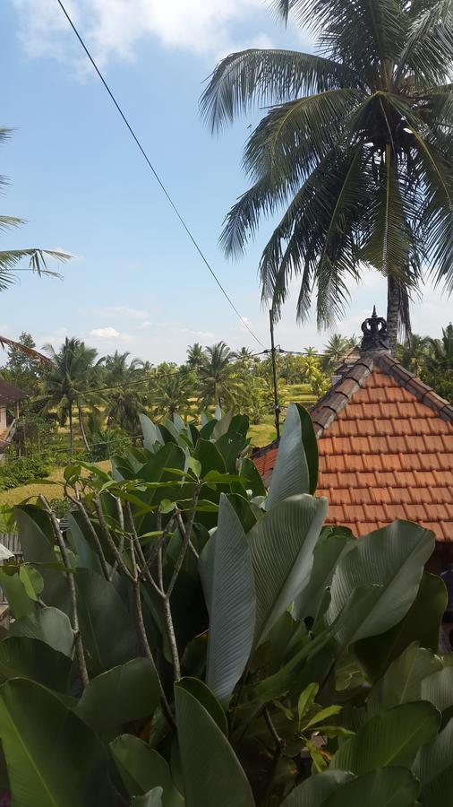 Villa Bungsil Gading Ubud Extérieur photo