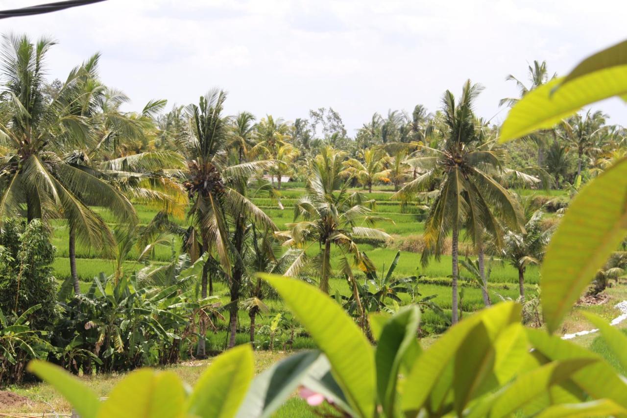 Villa Bungsil Gading Ubud Extérieur photo